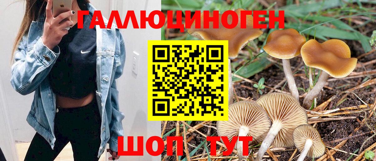 Псилоцибиновые грибы Cubensis Белогорск