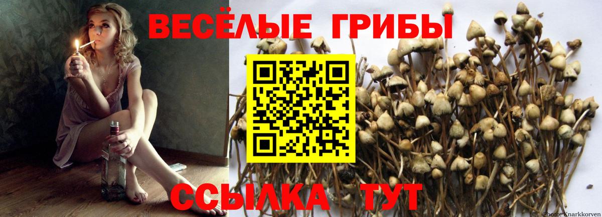 Белогорск  Галлюциногенные грибы ЛСД  Вход с VPN 